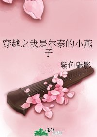 穿越之我是尔泰的小燕子