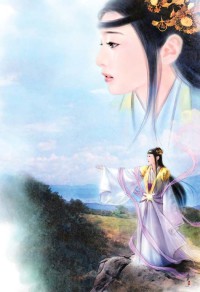 超级姑爷
